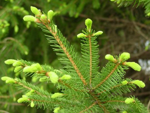 1 статьи винница 14 декабря 2012