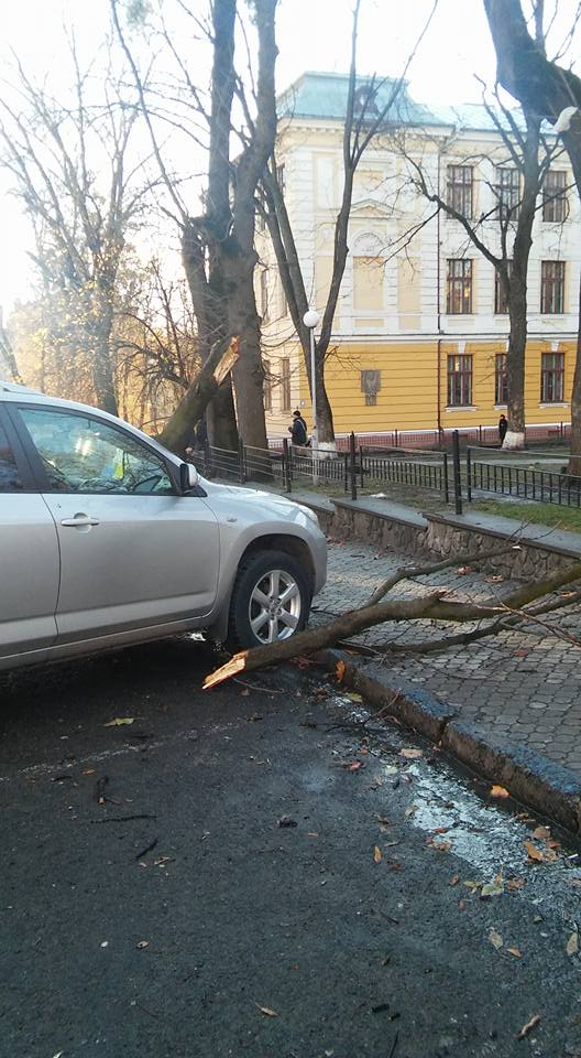 11046281_921848514552151_4134052954967630047_n