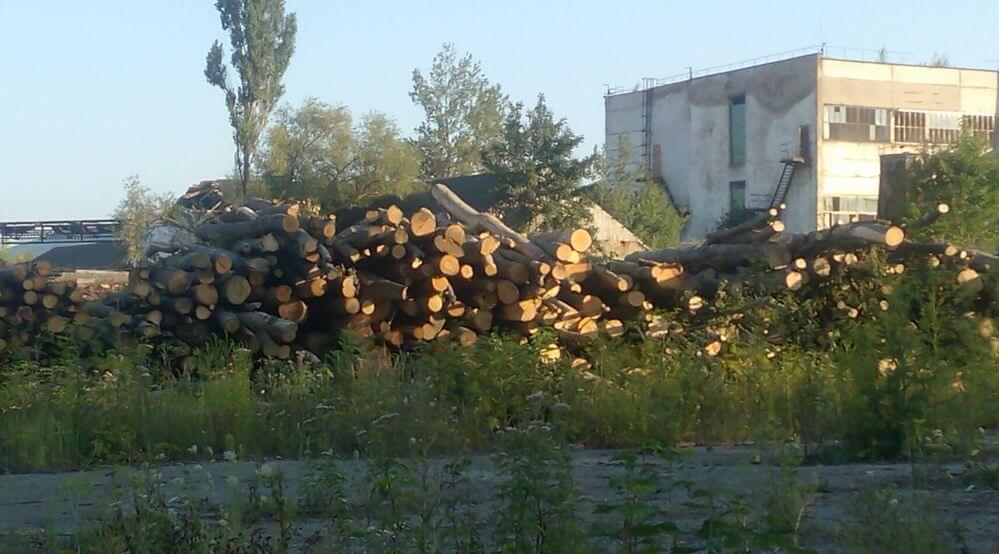 Лісгосп СБУ2