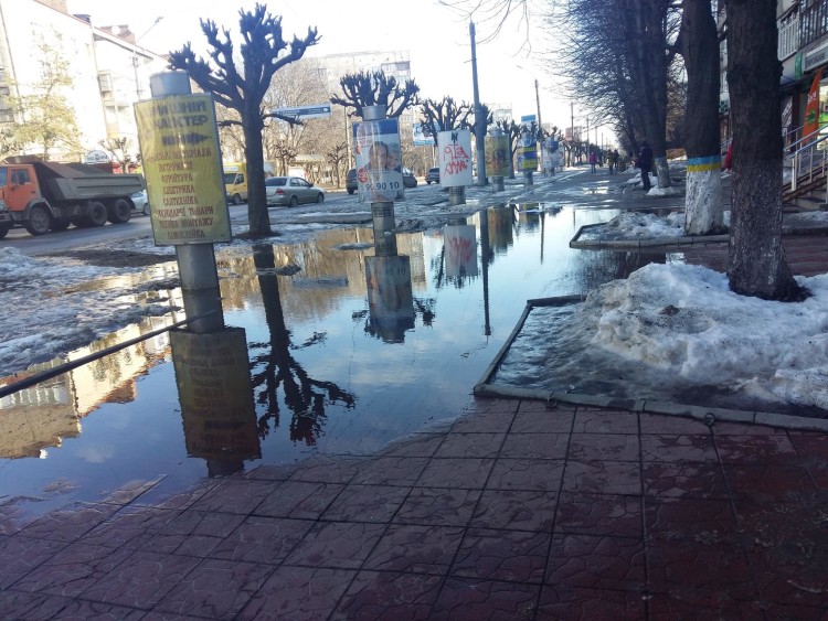 16797772_769581936530620_6977147729080437843_o