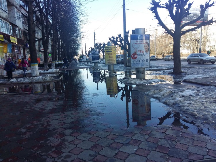 16904732_769581933197287_7013999856938646342_o