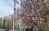 1 квітня у Чернівцях зафіксували новий температурний рекорд
